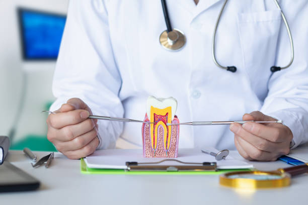 Best After-Hours Dental Trauma Care in Clendon, AR